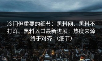 冷门但重要的细节：黑料网、黑料不打烊、黑料入口最新进展：热度来源终于对齐 （细节）