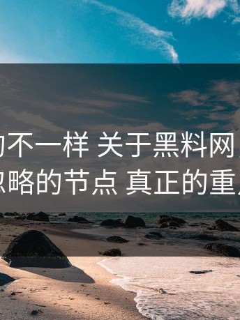 这次真的不一样 关于黑料网，我们补上了被忽略的节点 真正的重点在最后
