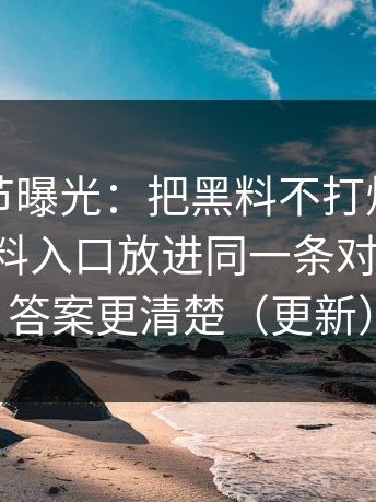 关键细节曝光：把黑料不打烊、黑料网、黑料入口放进同一条对照表里，答案更清楚（更新）
