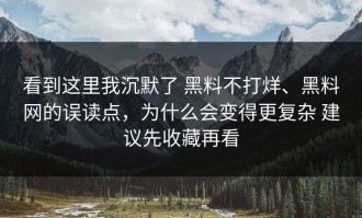 看到这里我沉默了 黑料不打烊、黑料网的误读点，为什么会变得更复杂 建议先收藏再看