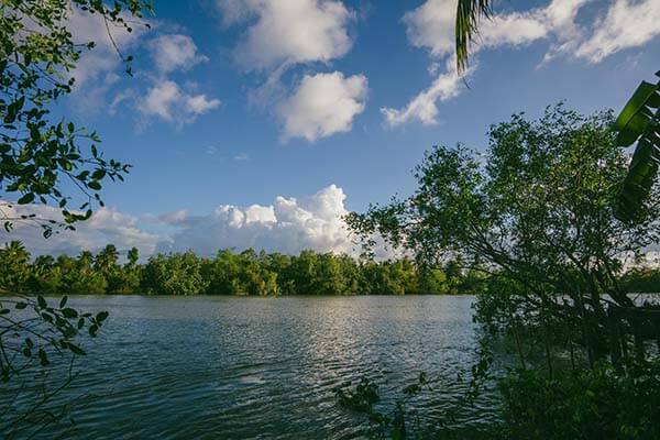 关键细节曝光：把黑料不打烊、黑料网、黑料入口放进同一条对照表里，答案更清楚（更新）